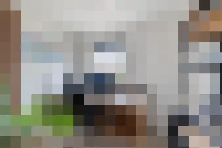 Worp Tjaardastraat 121 Sneek thumbnail 35