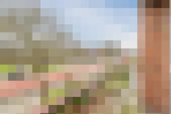 Worp Tjaardastraat 121 Sneek thumbnail 41
