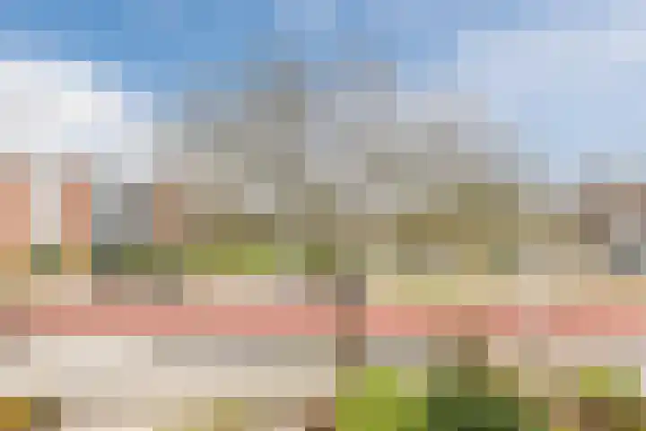 Worp Tjaardastraat 121 Sneek thumbnail 42