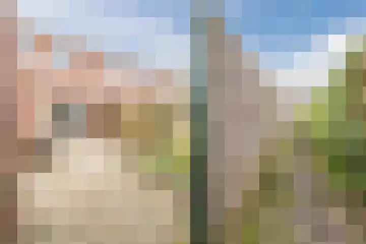 Worp Tjaardastraat 121 Sneek thumbnail 49