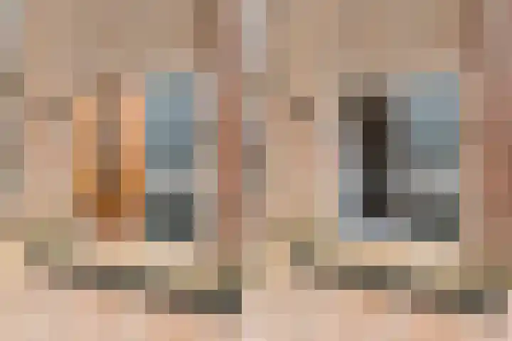 Worp Tjaardastraat 121 Sneek thumbnail 6