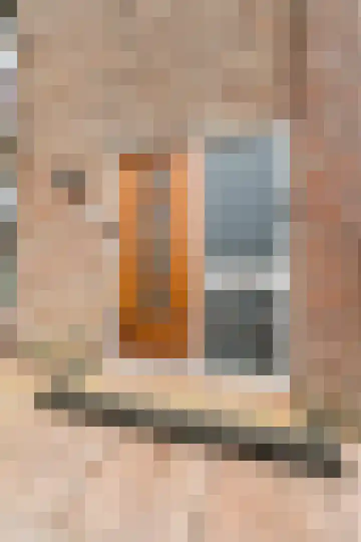 Worp Tjaardastraat 121 Sneek thumbnail 7