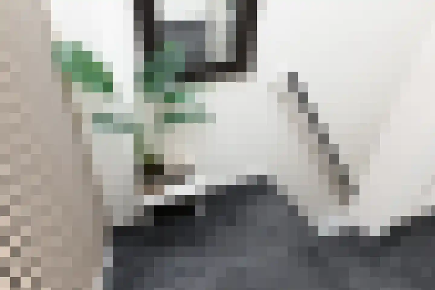Worp Tjaardastraat 138 Sneek thumbnail 18