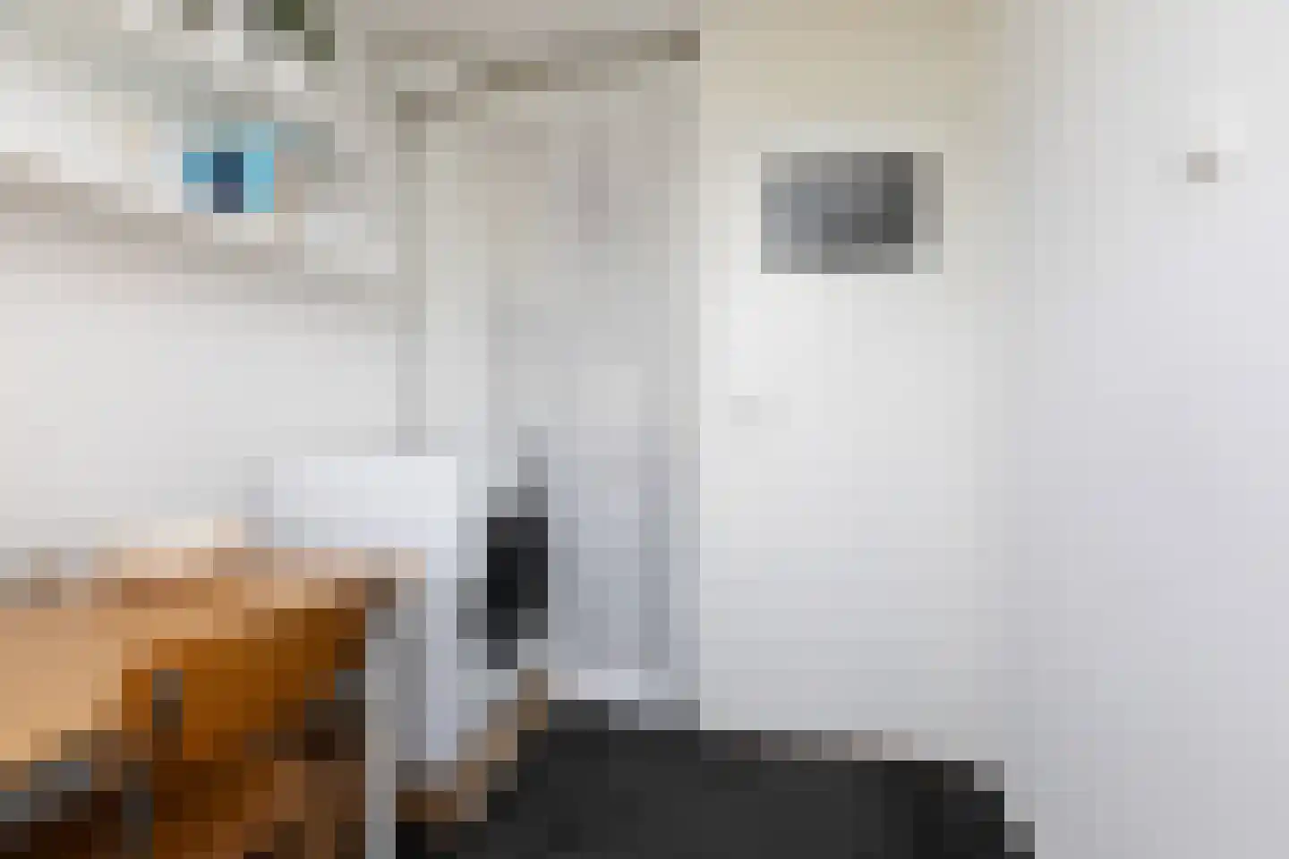 Worp Tjaardastraat 138 Sneek thumbnail 21