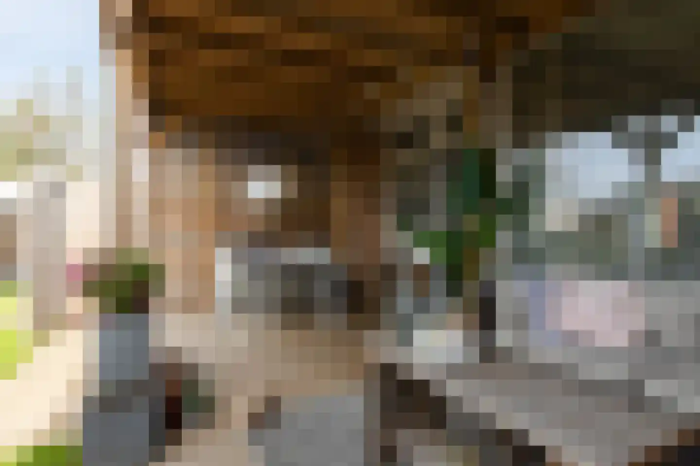 Worp Tjaardastraat 138 Sneek thumbnail 29