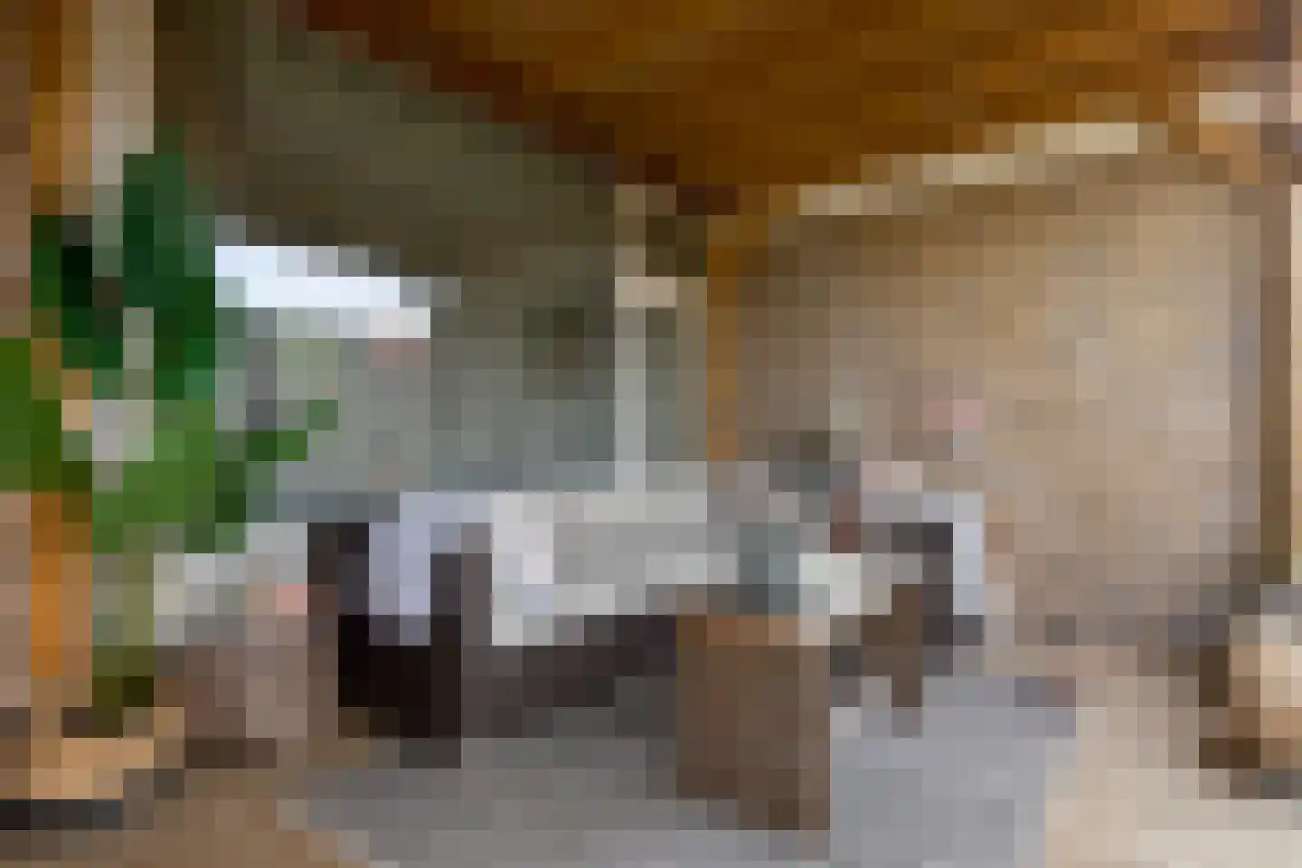 Worp Tjaardastraat 138 Sneek thumbnail 30
