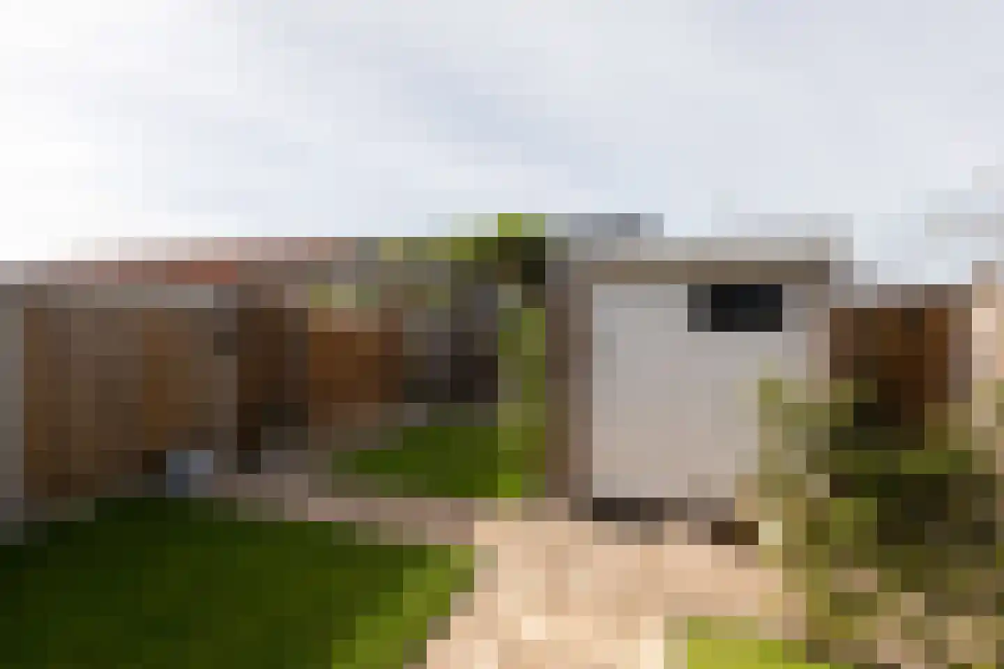 Worp Tjaardastraat 138 Sneek thumbnail 33