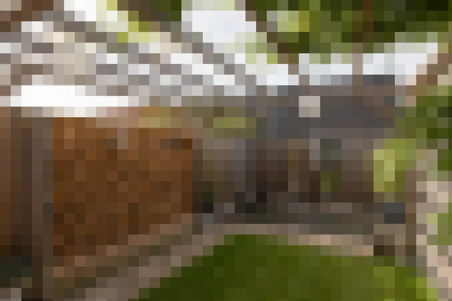 Worp Tjaardastraat 138 Sneek thumbnail 34