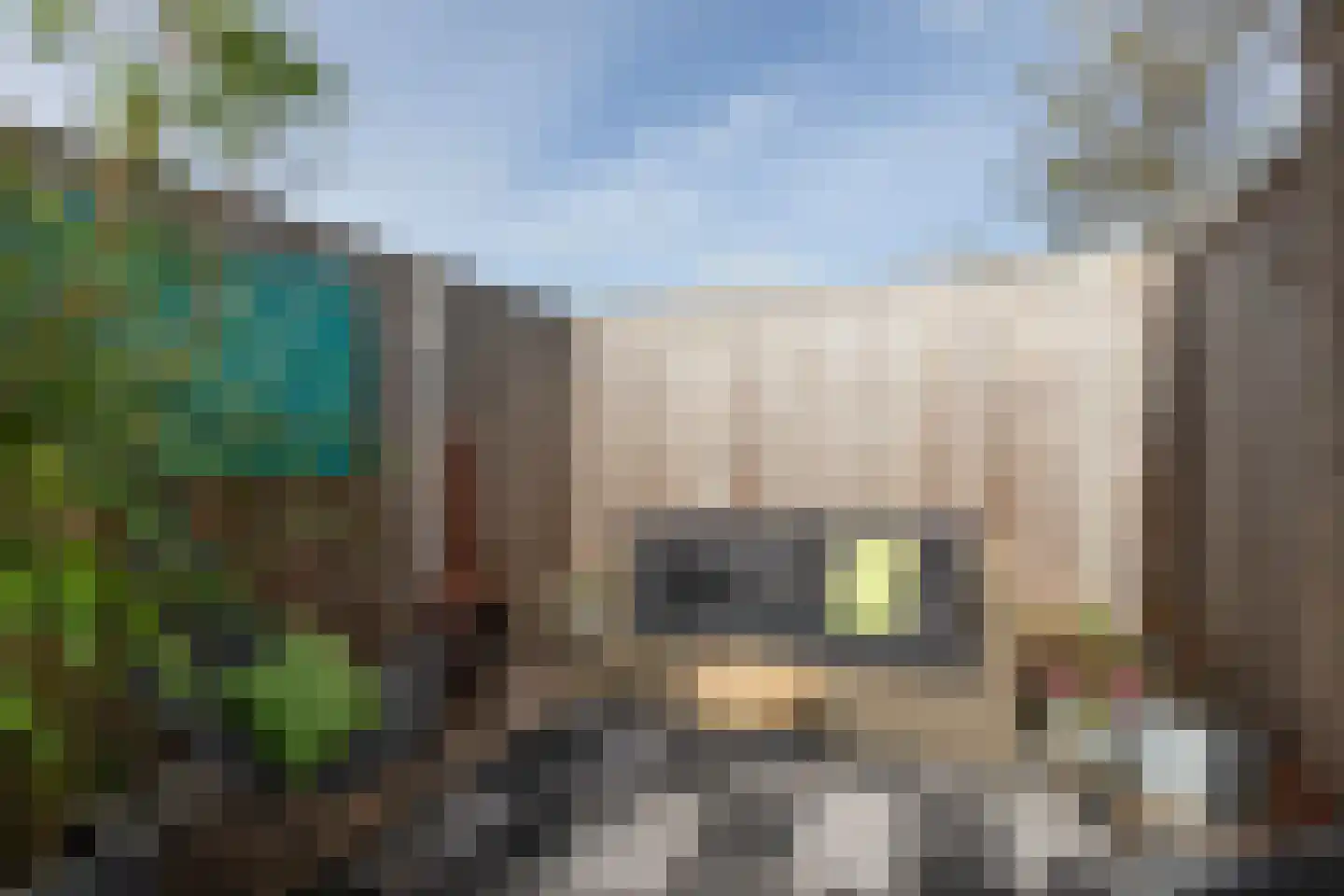 Worp Tjaardastraat 138 Sneek thumbnail 37