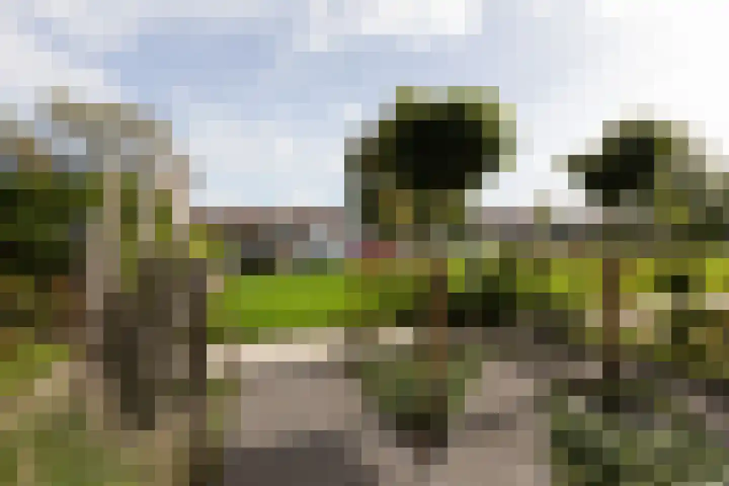 Worp Tjaardastraat 138 Sneek thumbnail 39