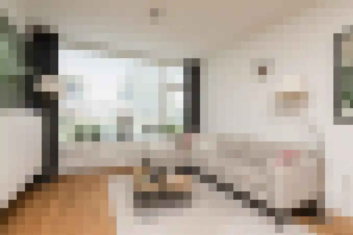 Worp Tjaardastraat 138 Sneek thumbnail 5