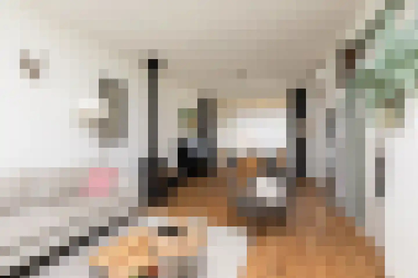 Worp Tjaardastraat 138 Sneek thumbnail 7