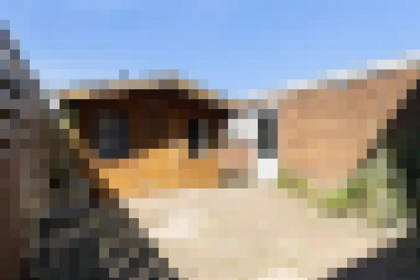 Worp Tjaardastraat 278 Sneek thumbnail 12