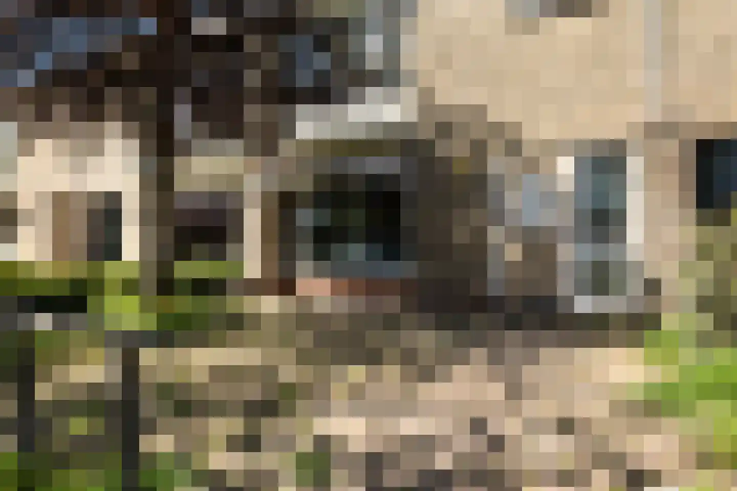 Worp Tjaardastraat 278 Sneek thumbnail 16