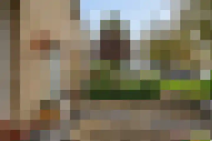 Worp Tjaardastraat 282 Sneek thumbnail 10