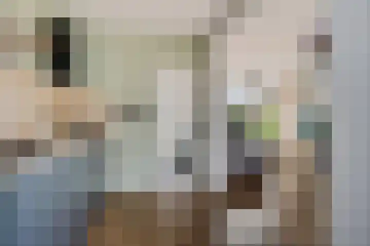 Worp Tjaardastraat 282 Sneek thumbnail 17
