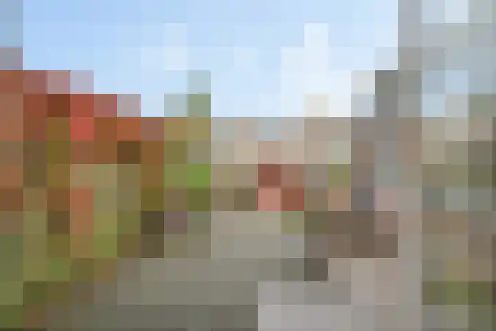 Worp Tjaardastraat 282 Sneek thumbnail 32