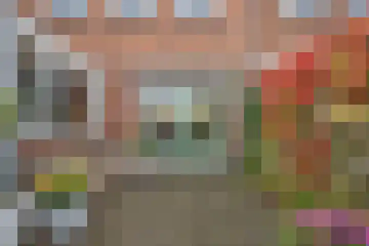 Worp Tjaardastraat 282 Sneek thumbnail 34