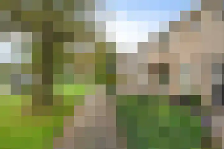 Worp Tjaardastraat 282 Sneek thumbnail 7