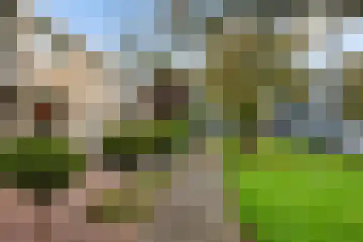 Worp Tjaardastraat 282 Sneek thumbnail 8