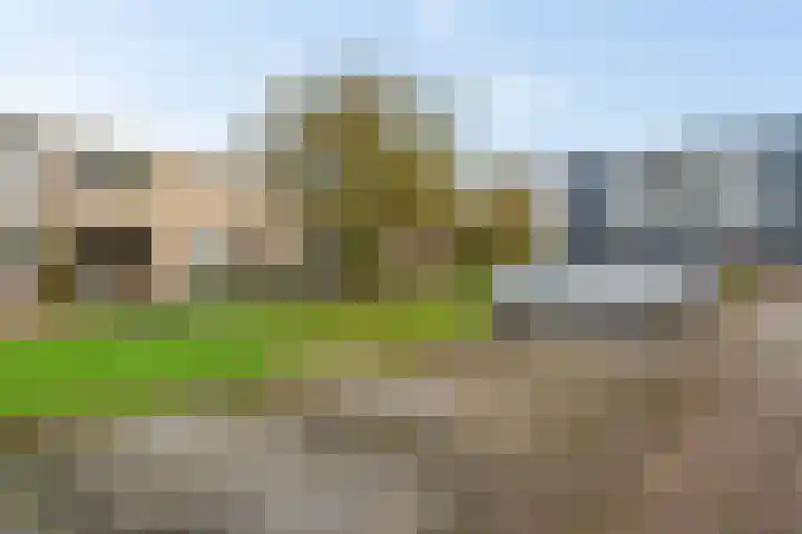 Worp Tjaardastraat 282 Sneek thumbnail 9