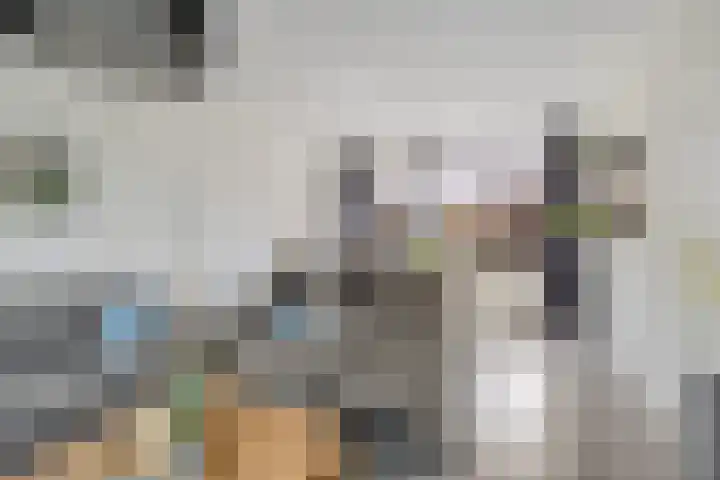 Worp Tjaardastraat 63 Sneek thumbnail 10