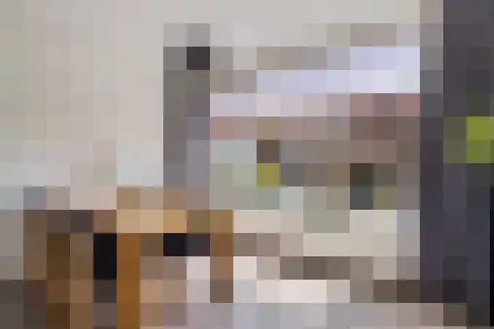 Worp Tjaardastraat 63 Sneek thumbnail 11