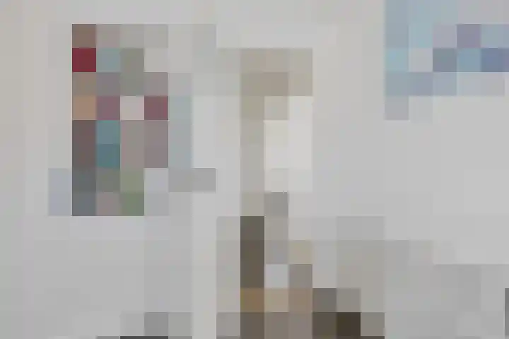 Worp Tjaardastraat 63 Sneek thumbnail 21