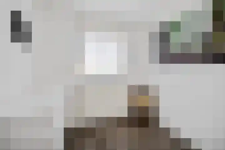 Worp Tjaardastraat 63 Sneek thumbnail 22