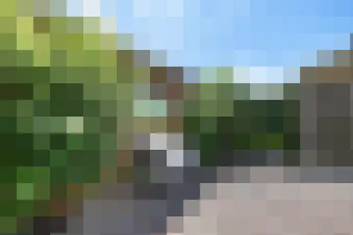 Worp Tjaardastraat 63 Sneek thumbnail 31