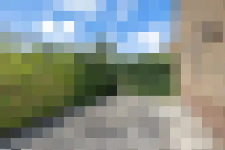 Worp Tjaardastraat 63 Sneek thumbnail 32