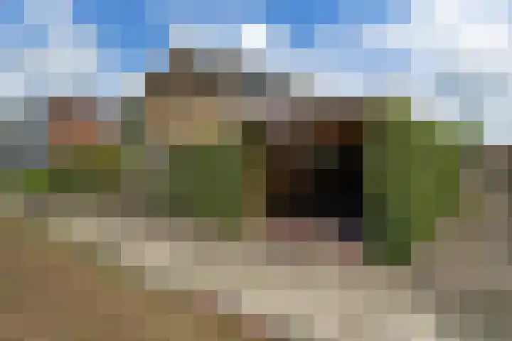 Worp Tjaardastraat 63 Sneek thumbnail 33