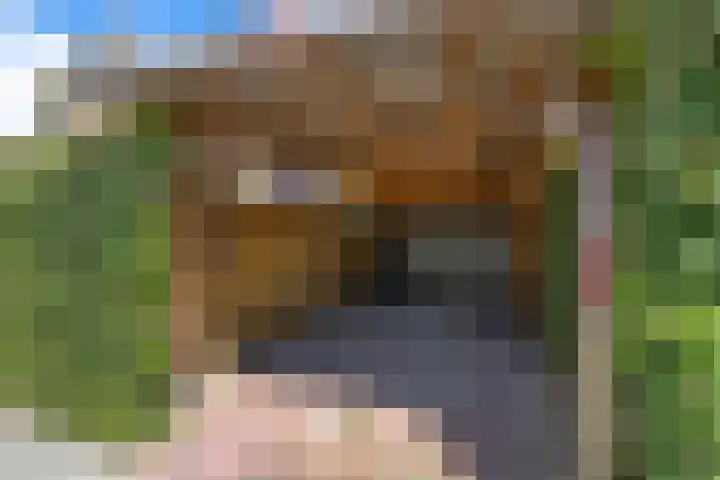 Worp Tjaardastraat 63 Sneek thumbnail 34