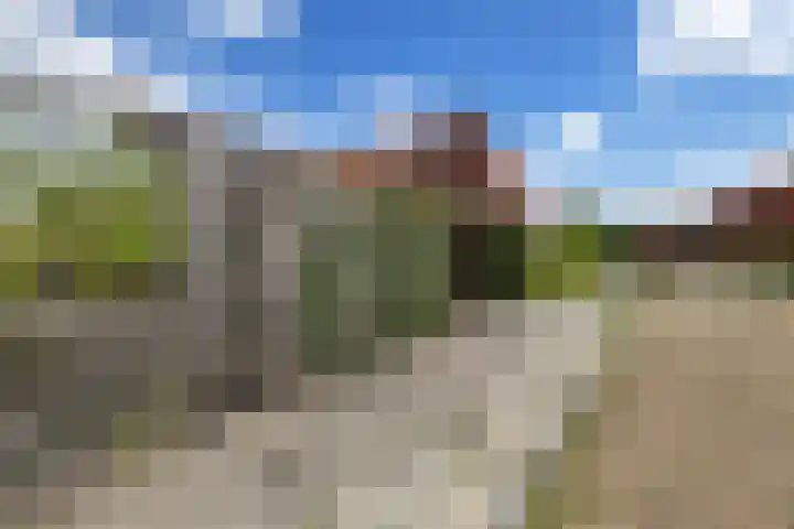 Worp Tjaardastraat 63 Sneek thumbnail 35