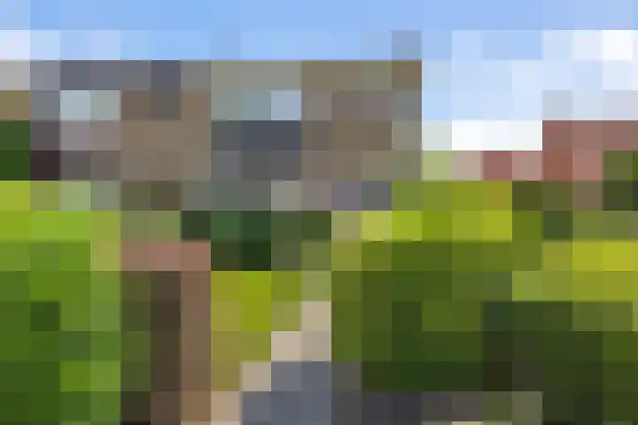 Worp Tjaardastraat 63 Sneek thumbnail 36