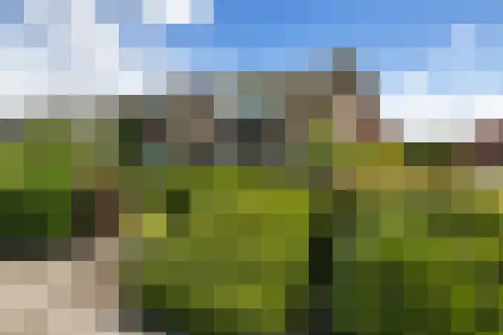 Worp Tjaardastraat 63 Sneek thumbnail 37