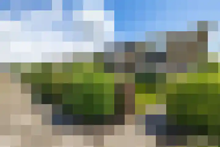 Worp Tjaardastraat 63 Sneek thumbnail 38