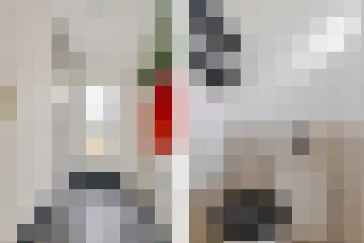 Worp Tjaardastraat 63 Sneek thumbnail 5
