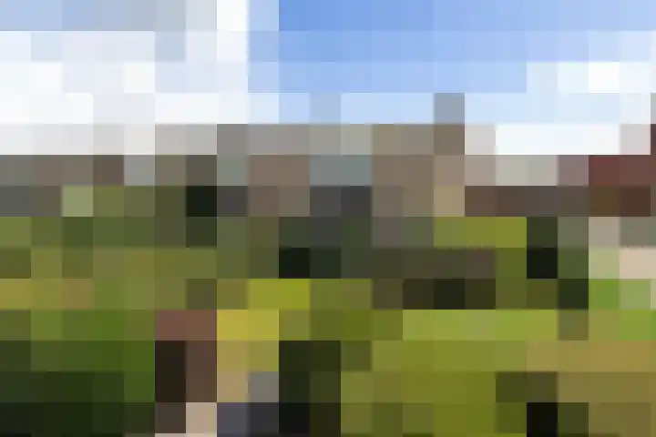 Worp Tjaardastraat 63 Sneek thumbnail 50