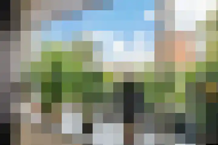 Worp Tjaardastraat 63 Sneek thumbnail 9