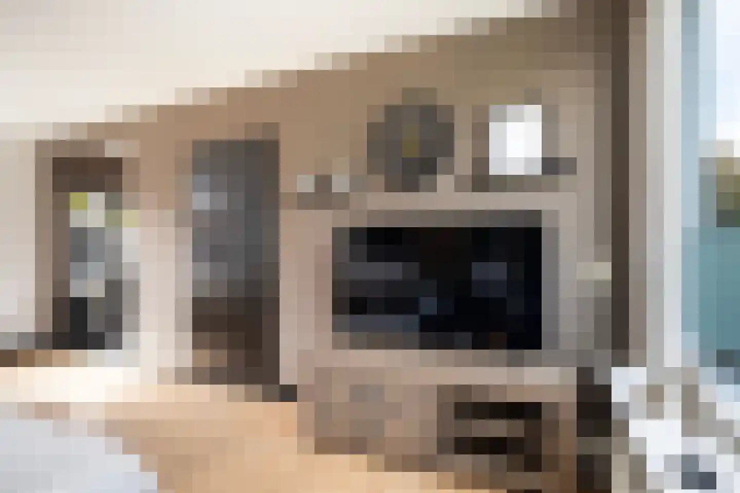 Worp Tjaardastraat 69 Sneek thumbnail 10