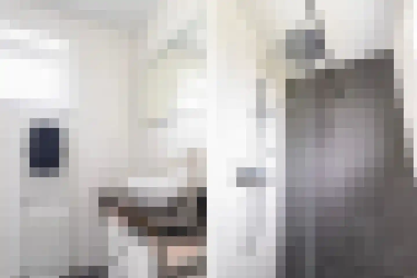 Worp Tjaardastraat 69 Sneek thumbnail 22