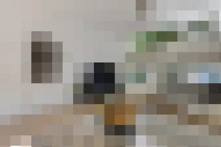 Worp Tjaardastraat 77 Sneek thumbnail 11