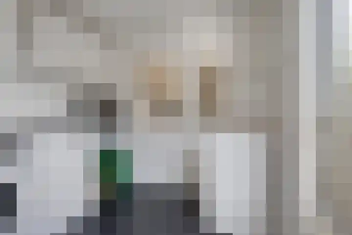 Worp Tjaardastraat 77 Sneek thumbnail 16