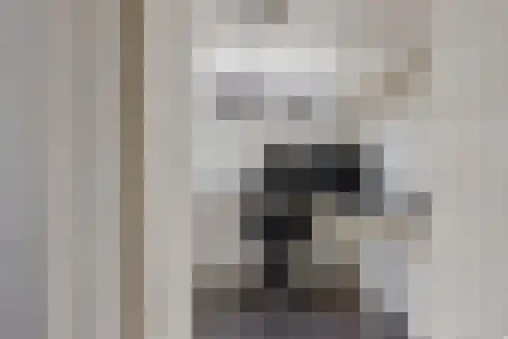 Worp Tjaardastraat 77 Sneek thumbnail 17