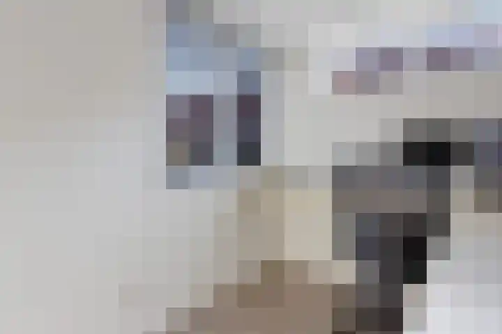 Worp Tjaardastraat 77 Sneek thumbnail 18