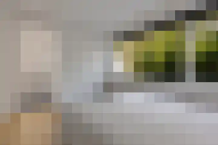 Worp Tjaardastraat 77 Sneek thumbnail 24