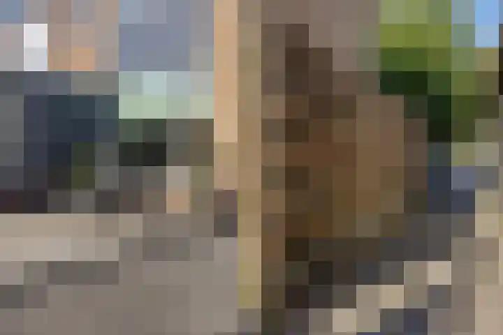Worp Tjaardastraat 77 Sneek thumbnail 30