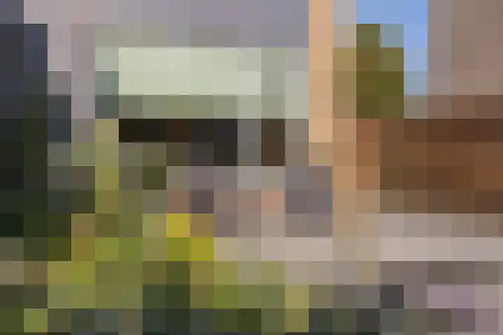 Worp Tjaardastraat 77 Sneek thumbnail 34