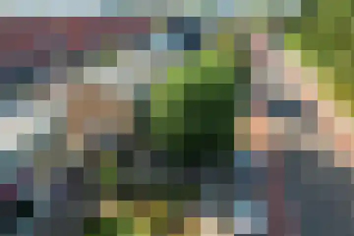 Worp Tjaardastraat 77 Sneek thumbnail 37